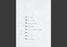 Load image into Gallery viewer, Ebook de Limpieza en Español (Version Interactiva + Imprimible)